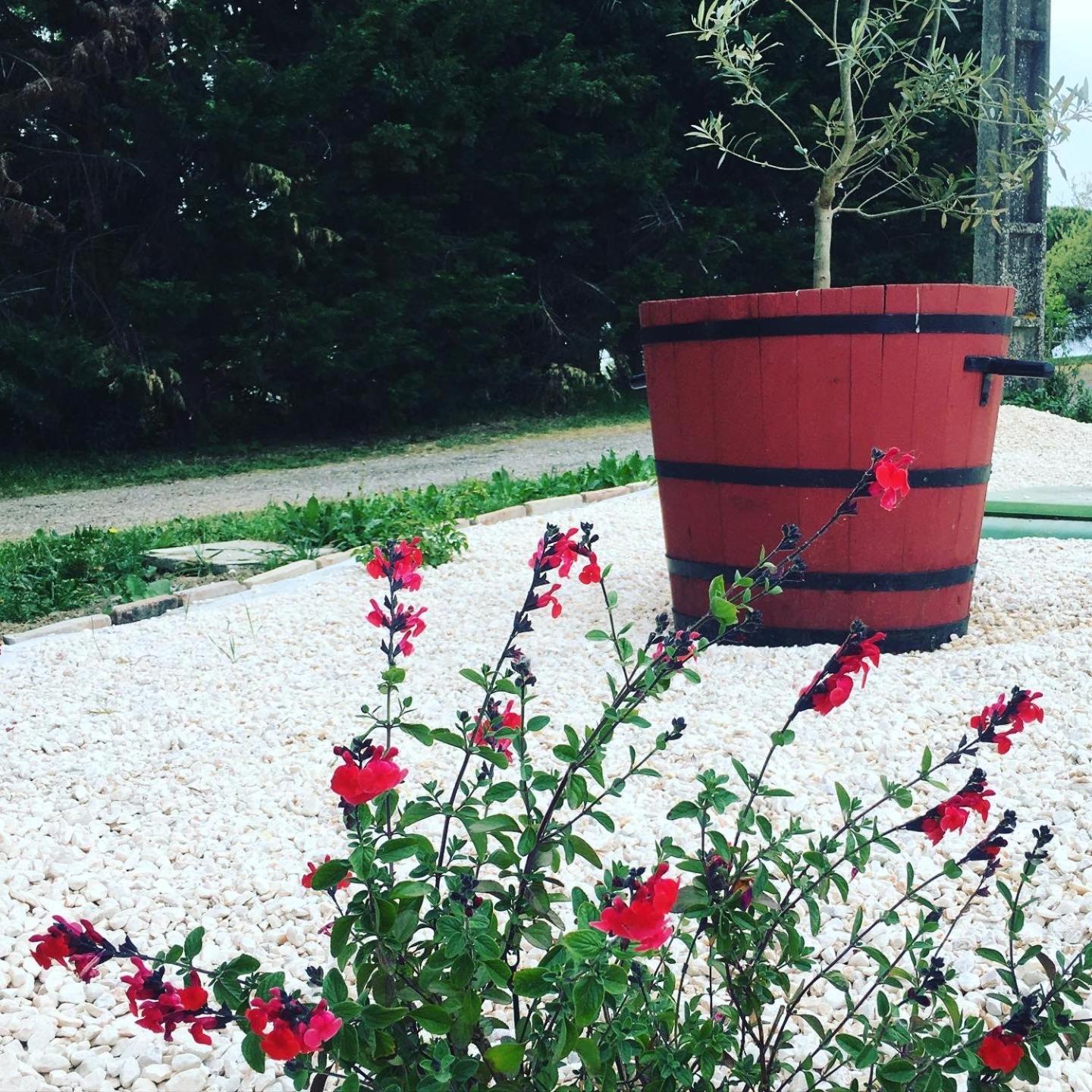 Gite Des Moulins Castelnau-dʼEstrétefonds Zewnętrze zdjęcie