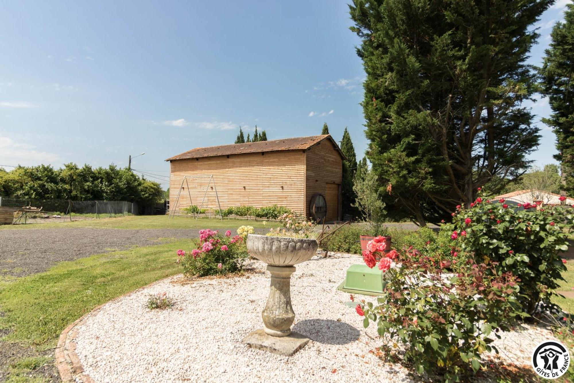 Gite Des Moulins Castelnau-dʼEstrétefonds Zewnętrze zdjęcie